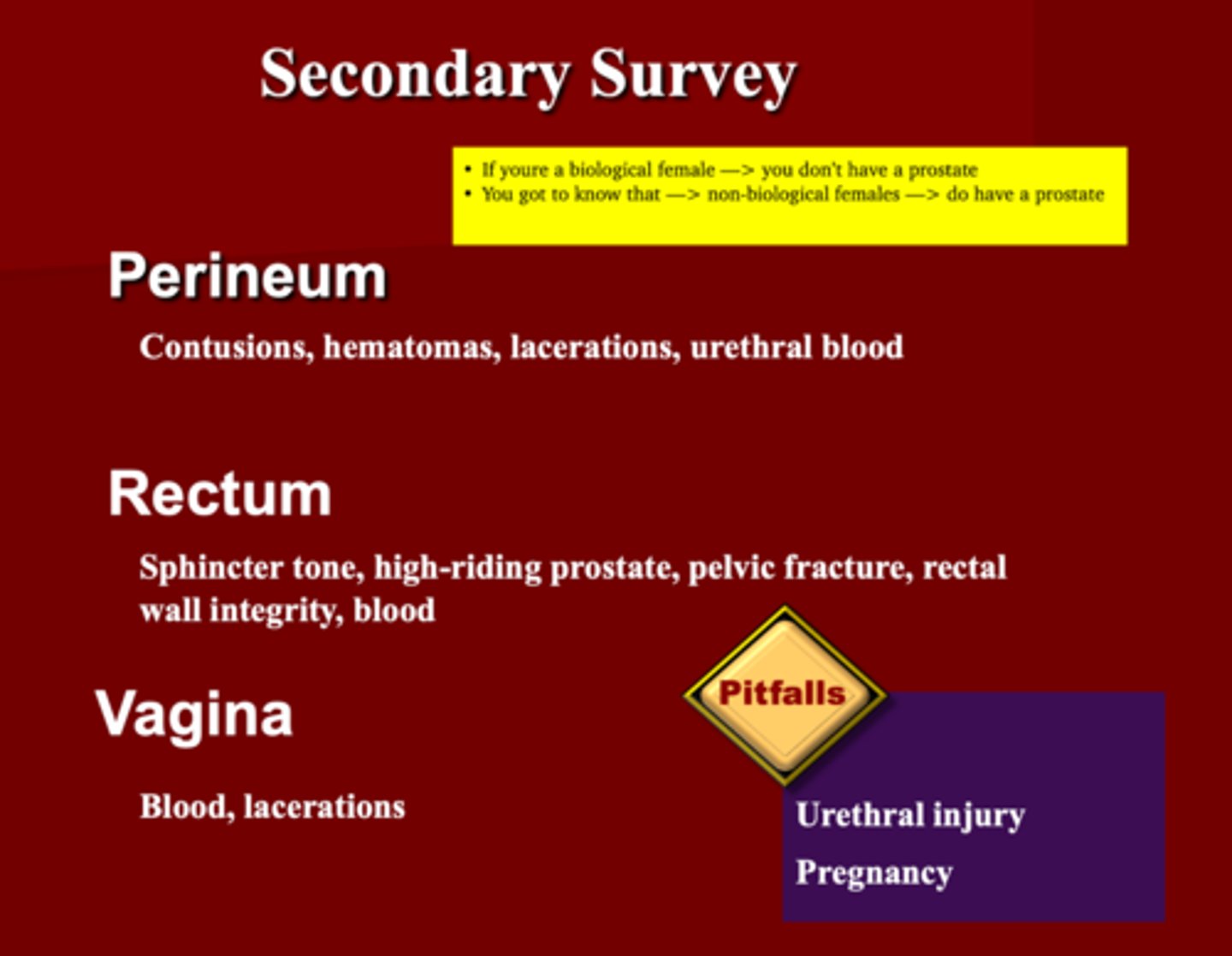 <p>1. Perineum</p><p>2. Rectum</p><p>3. Vagina</p>