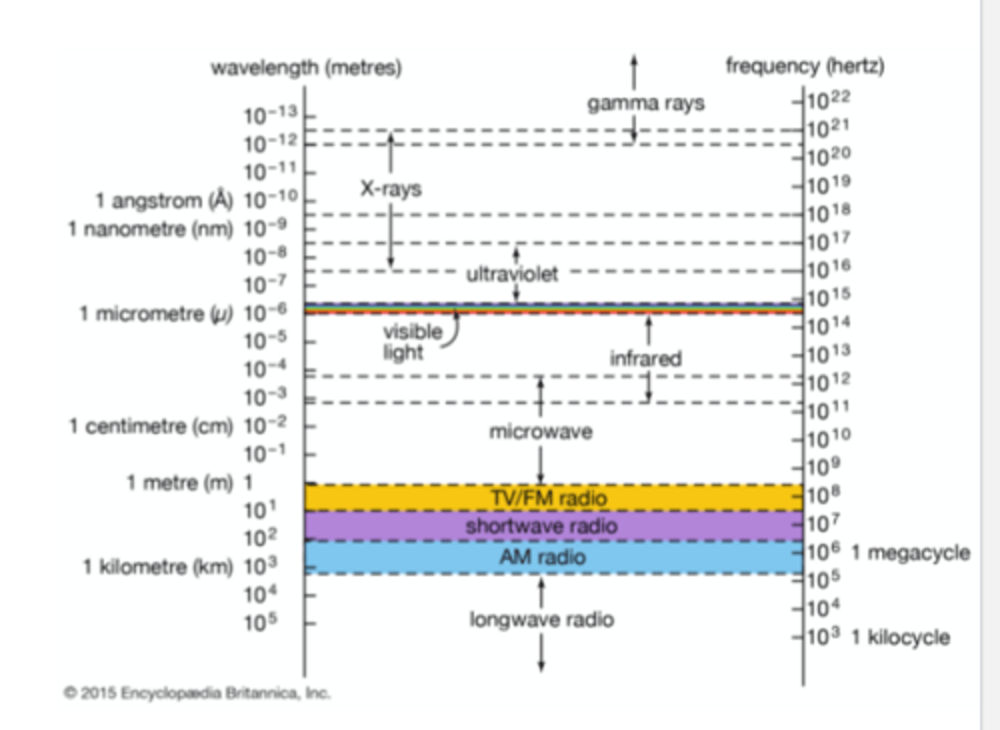 <p>-In order for an object to be visible under magnification, the wavelength of the light must be, roughly speaking, no larger than the object</p><p>-Visible light (400-700 nm) cannot produce an image of protein molecules, in which bonded atoms are about 1.5Å apart (0.15 nm). Electromagnetic radiation of this wavelength (0.15 nm) falls into the X-ray range, is why we use x rays</p><p>X-ray crystallography principle:</p><p>-That X-rays are diffracted by crystal</p><p>-Direct detection of atom position in crystal based off of diffraction pattern</p><p>-If you just shined x-rays on proteins in a tube, the light would be scattered in many different directions and wouldn't give you information about the structure of the protein</p><p>-You have to get the protein in an ordered structure (crystal) for the x-rays to be scattered in a way that shows you the structure of the protein</p>