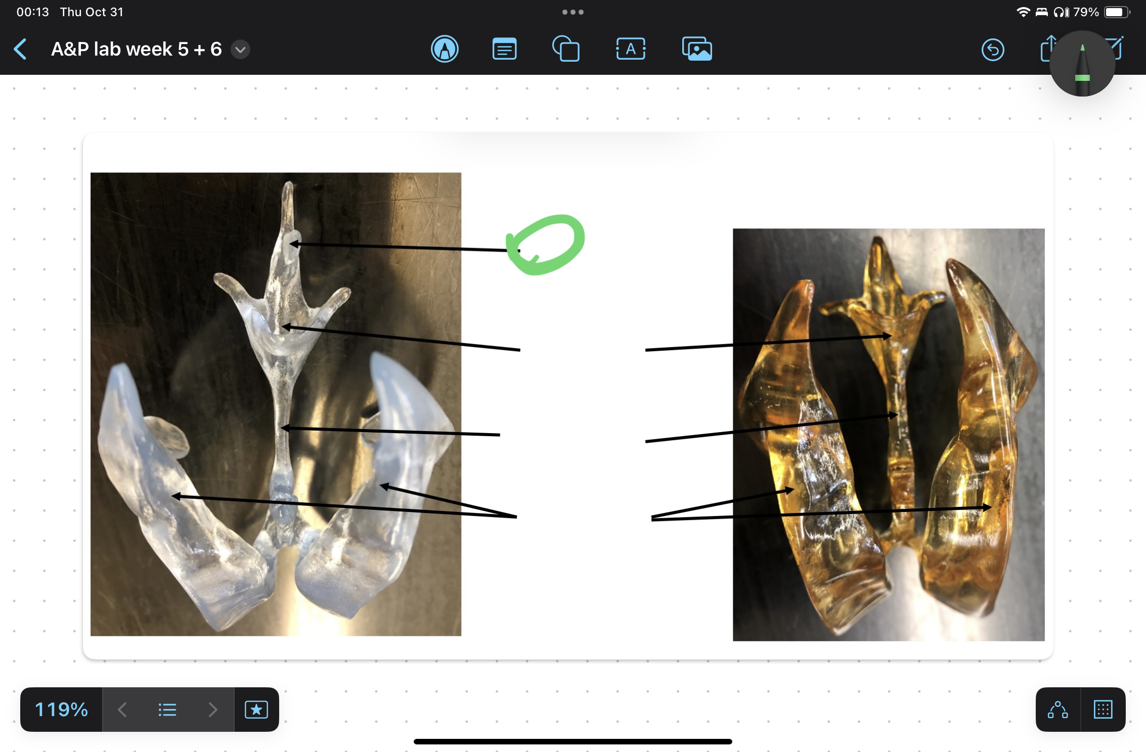 knowt flashcard image