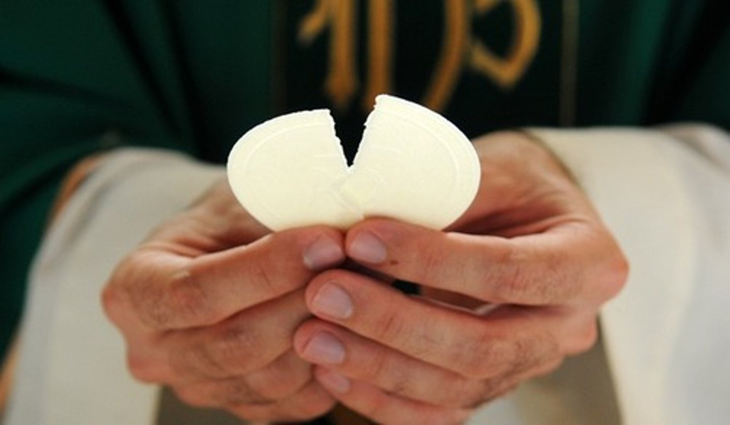 <p>the priest breaks the bread, inviting us to partake in the same feast, putting a piece of the Eucharist into the chalice to unify the body and blood of Christ in the work of salvation.</p>