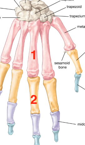 <p>what is number 2?</p>