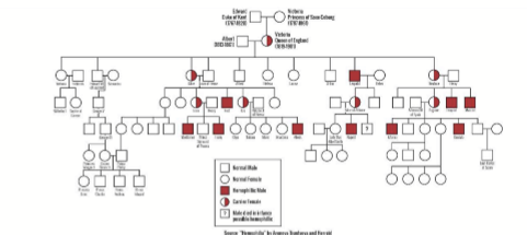 <p>Pairings within a group:</p><ul><li><p>Religion: Ashkenazim Jew, Muslims, Christens, etc. </p></li><li><p>Race</p></li><li><p>Social Class </p></li></ul><p></p>