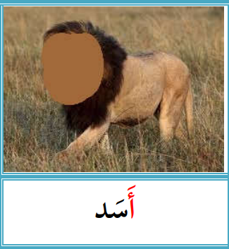 <p></p>