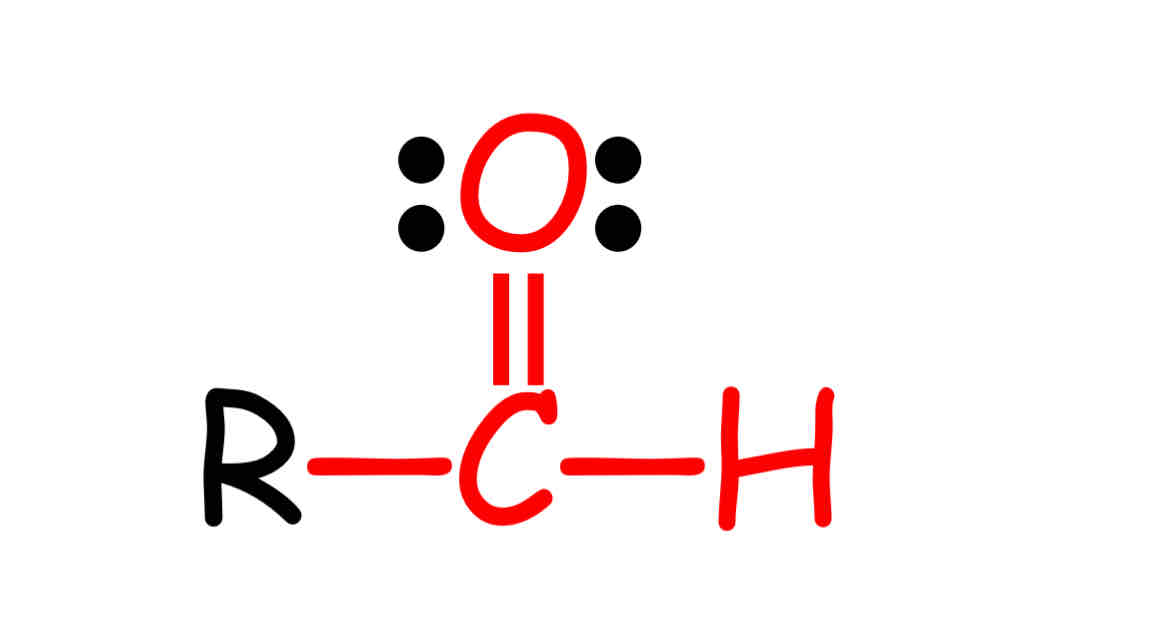 Organic Functional Groups Flashcards Knowt
