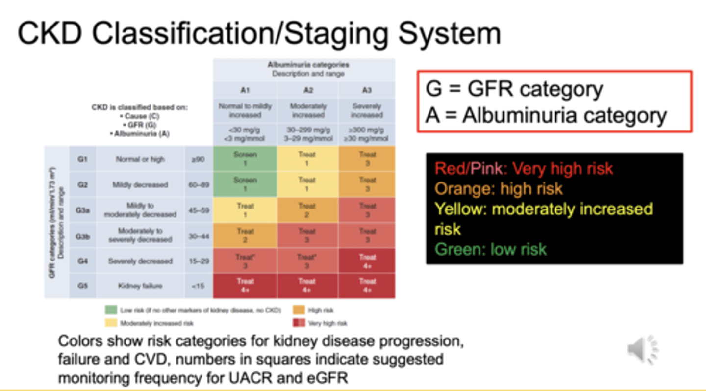 <p>Green = low risk</p><p>Yellow = moderately increased risk</p><p>Orange = high risk</p><p>Red/Pink = very high risk</p>