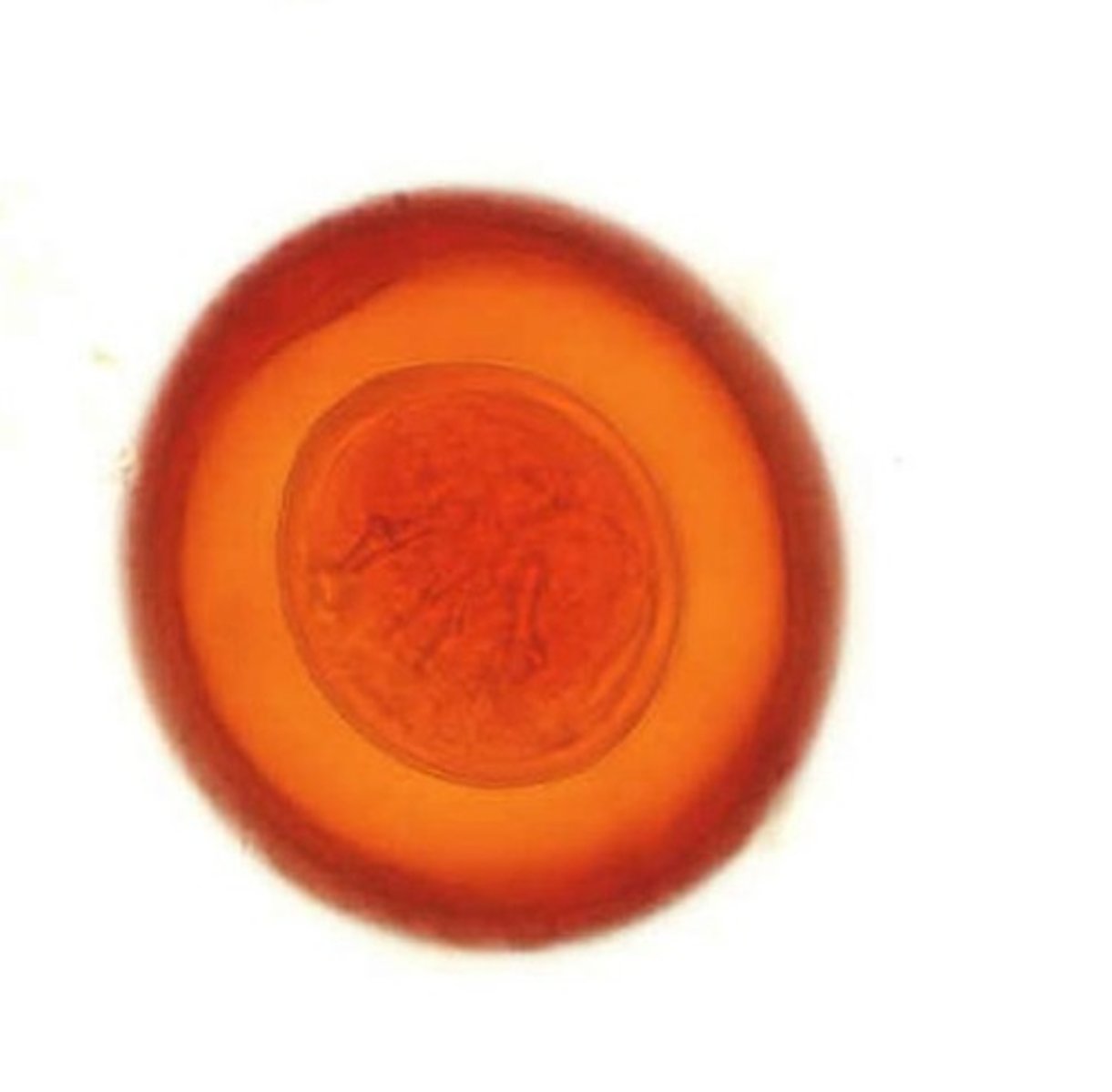 <p>Identify the parasite</p>