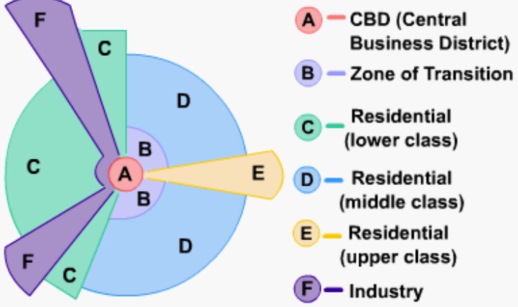 Sector Model 