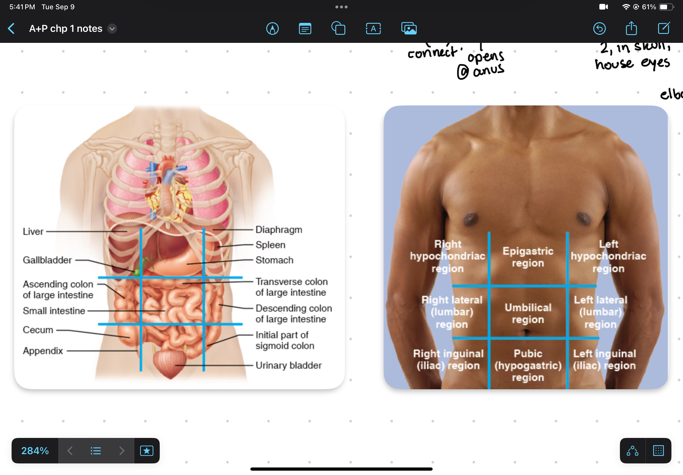 knowt flashcard image