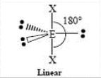 <p>Linear, 180 Degrees</p>