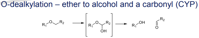 <p>O-dealkylation to alcohols and a carbonyl, catalyzed by CYP </p>