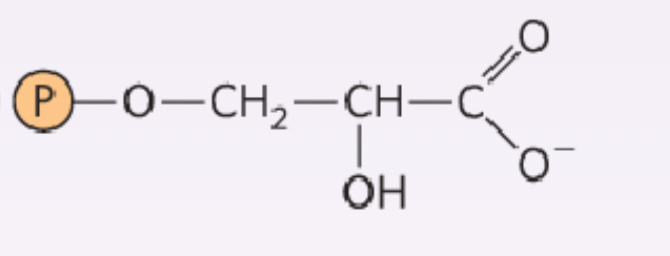<p>What structure is this?</p>