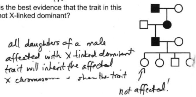 <ul><li><p>IV-1 is unaffected</p></li></ul><p></p>