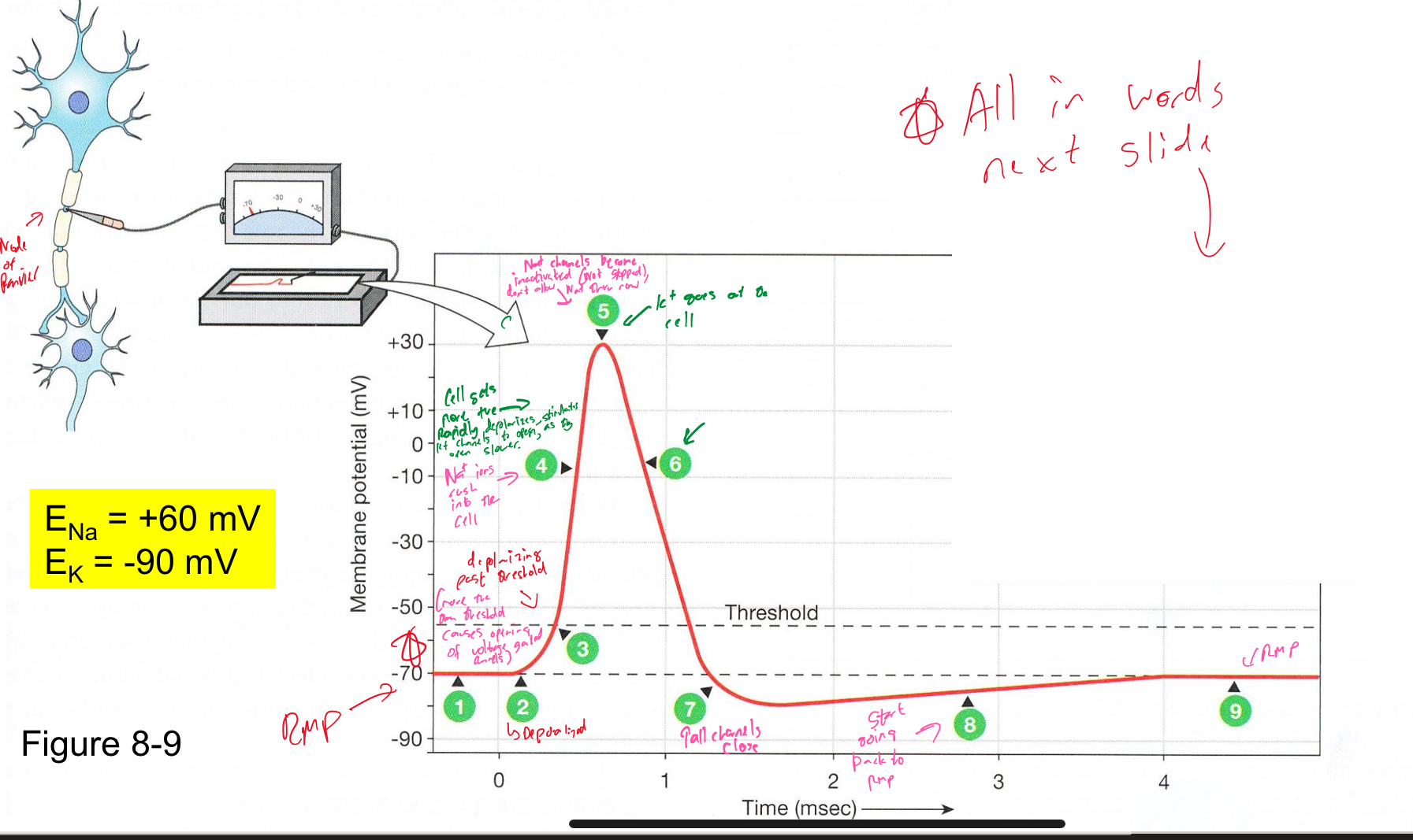 <p>Explain what’s happening in this diagram</p>