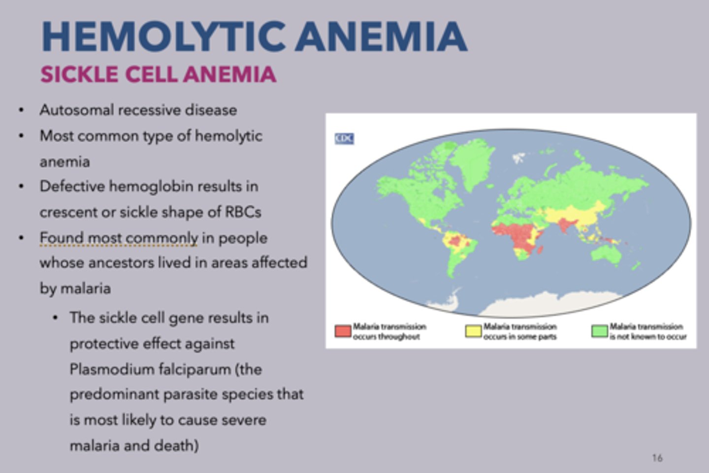 <p>sickle cell anemia</p>