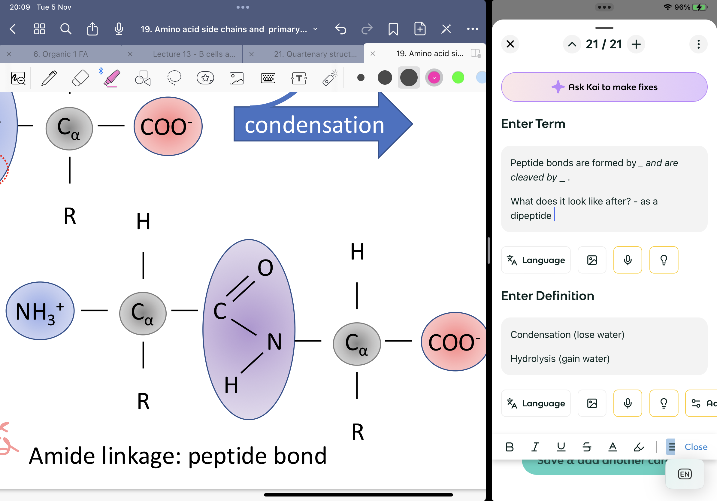 <p>Condensation (lose water)</p><p>Hydrolysis (gain water)</p>
