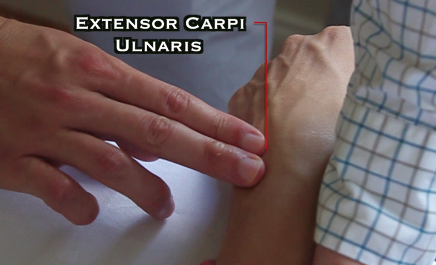Hand is fully on the table in prone. Palpate on the dorsal surface of the hand just proximal to MC 5 and distal to ulnar styloid process