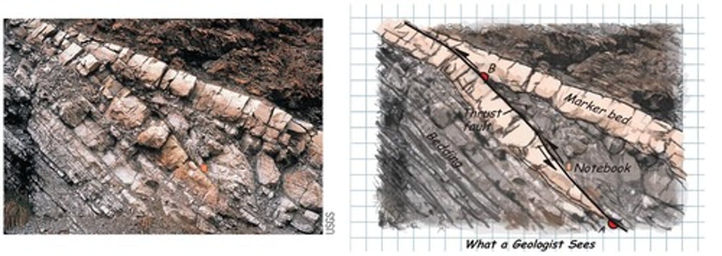 <p>A type of dip-slip fault with an angle less than 30º, where the hanging wall is pushed up over the foot wall.</p>