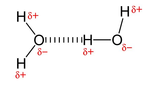 <p>Forms between Hydrogen of one molecule and F,O,N of another</p><p><strong><em>Inter</em></strong>molecular, weak</p>