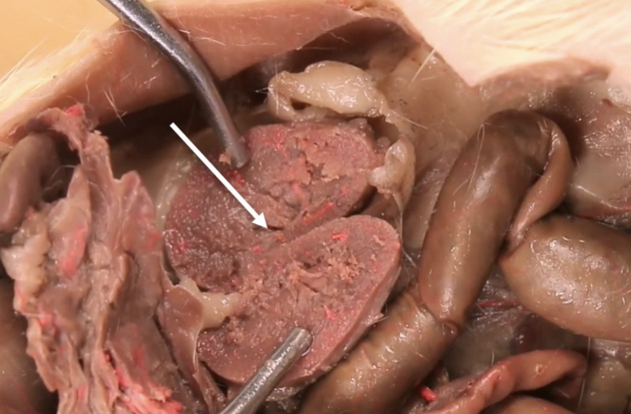 <p>What is this?</p>