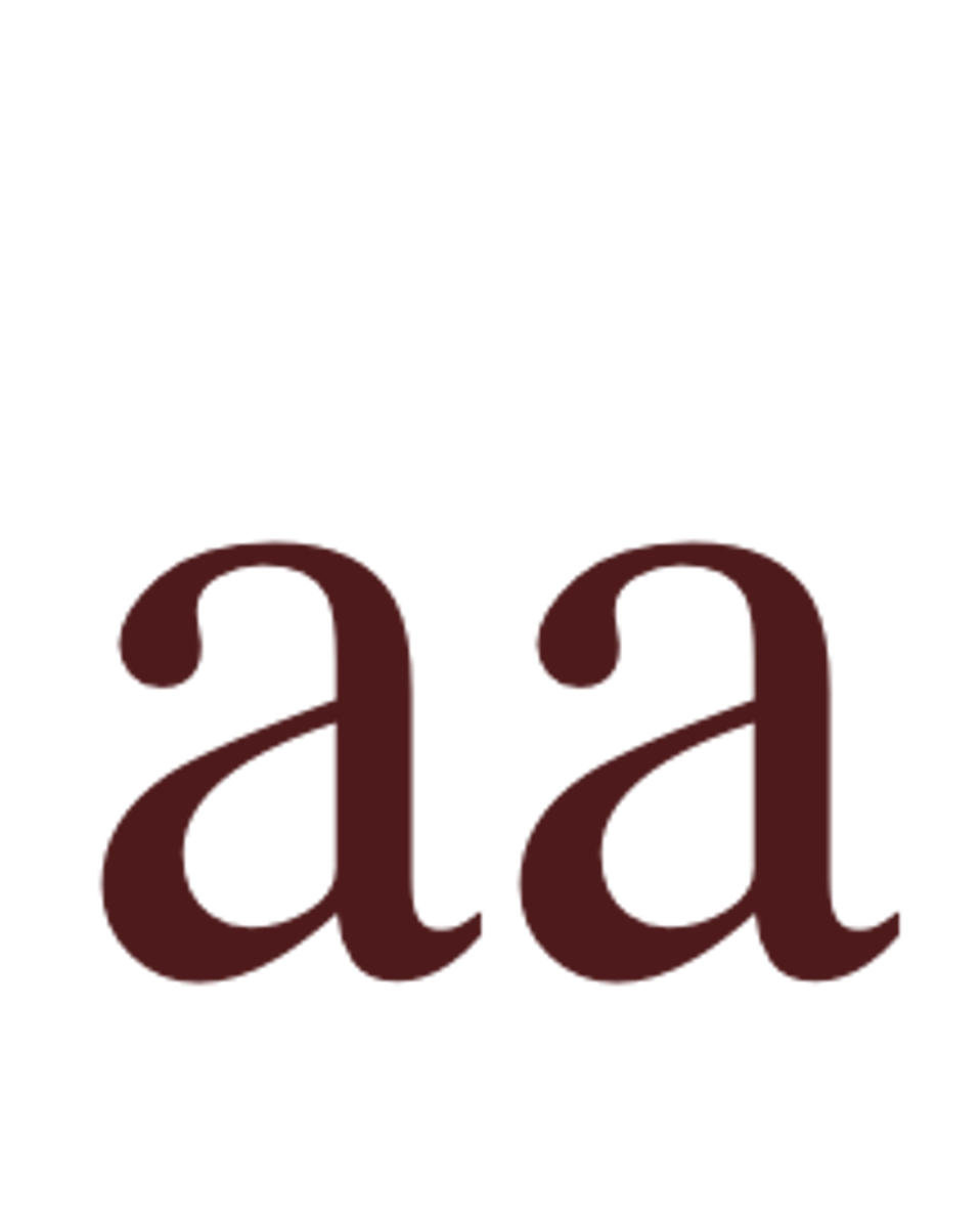 <p>Two recessive alleles (lower case)</p>