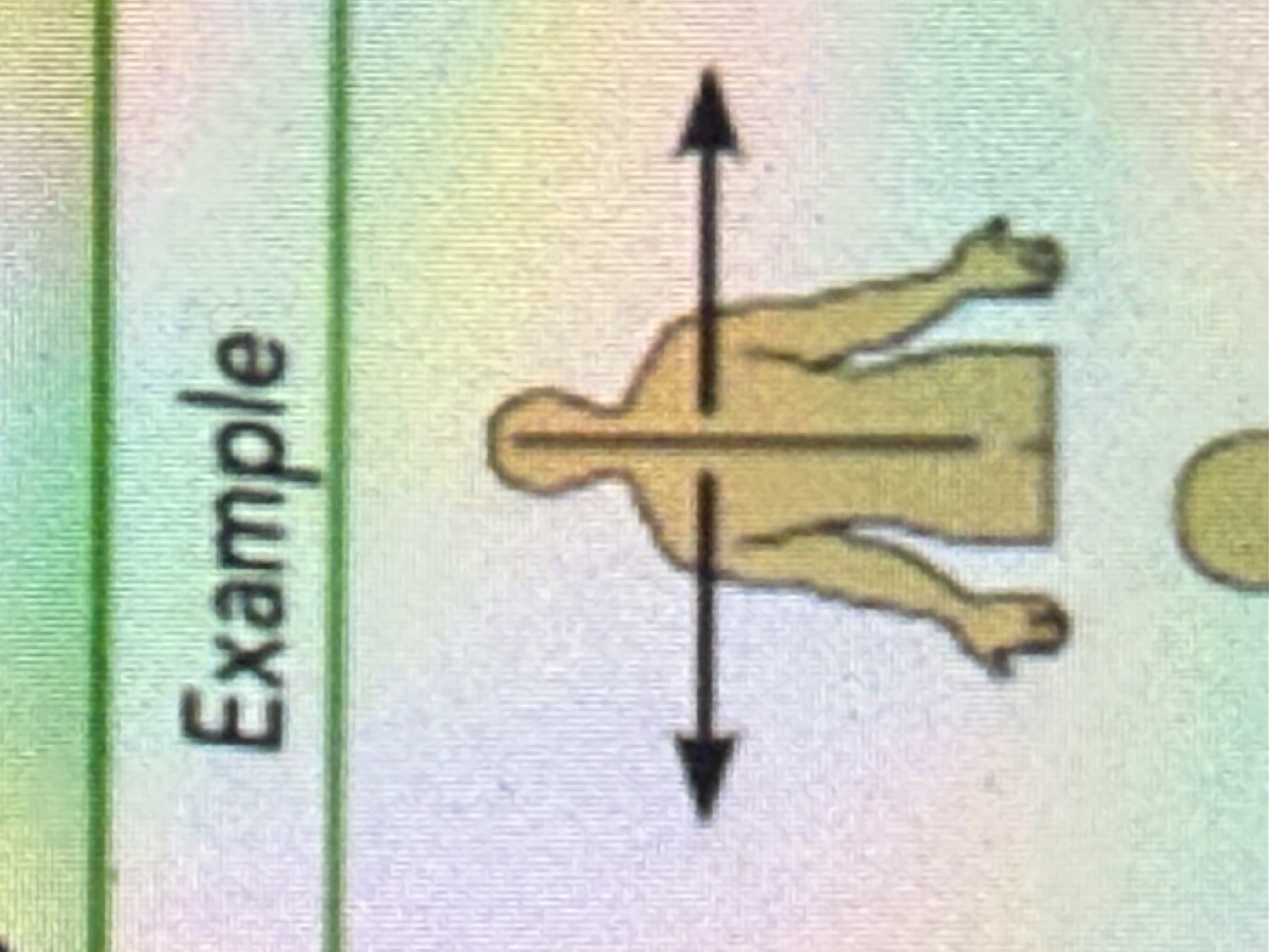 <p>Away from the midline; toward the outer side.</p>