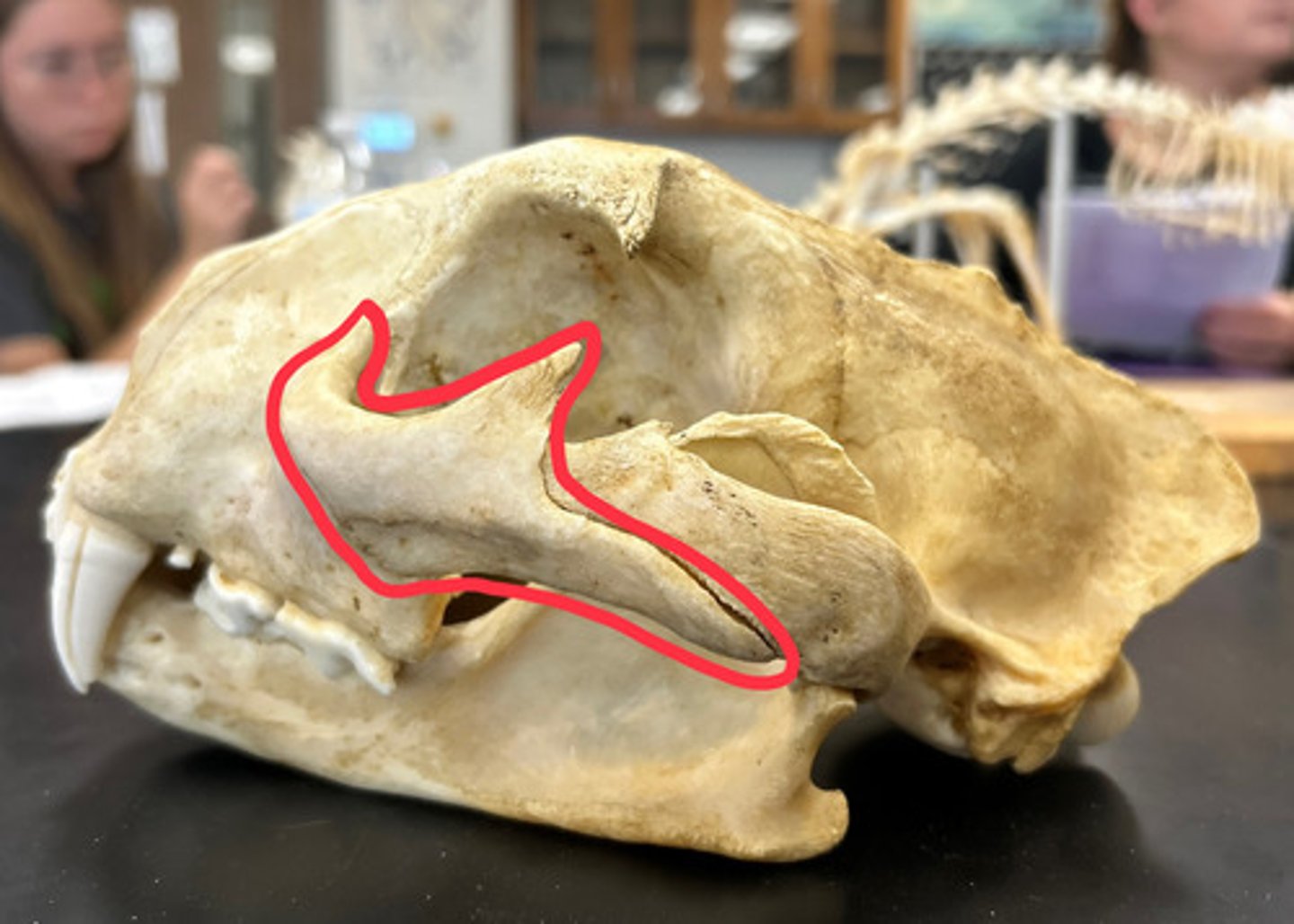 <p>What is this?</p>
