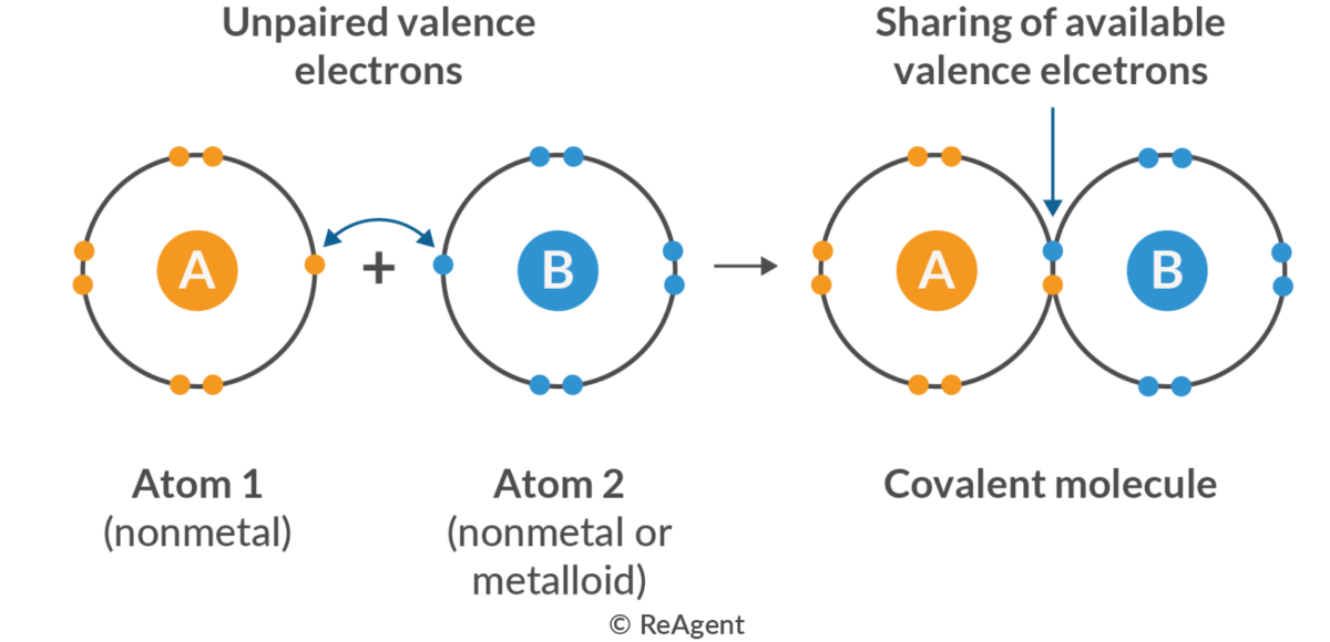 <p>Covalent Bond</p>