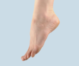 <p>extension of foot</p>