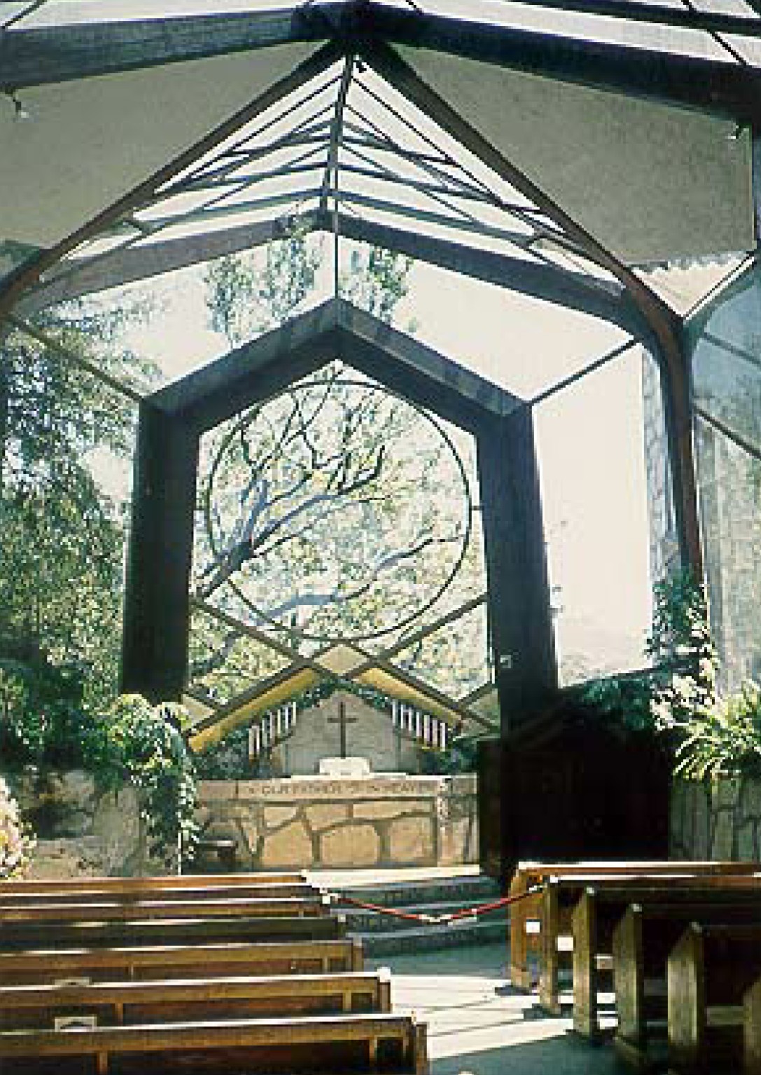 term image