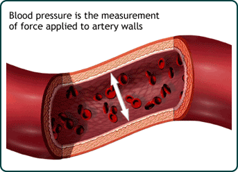 <p>Blood pressure factors</p>