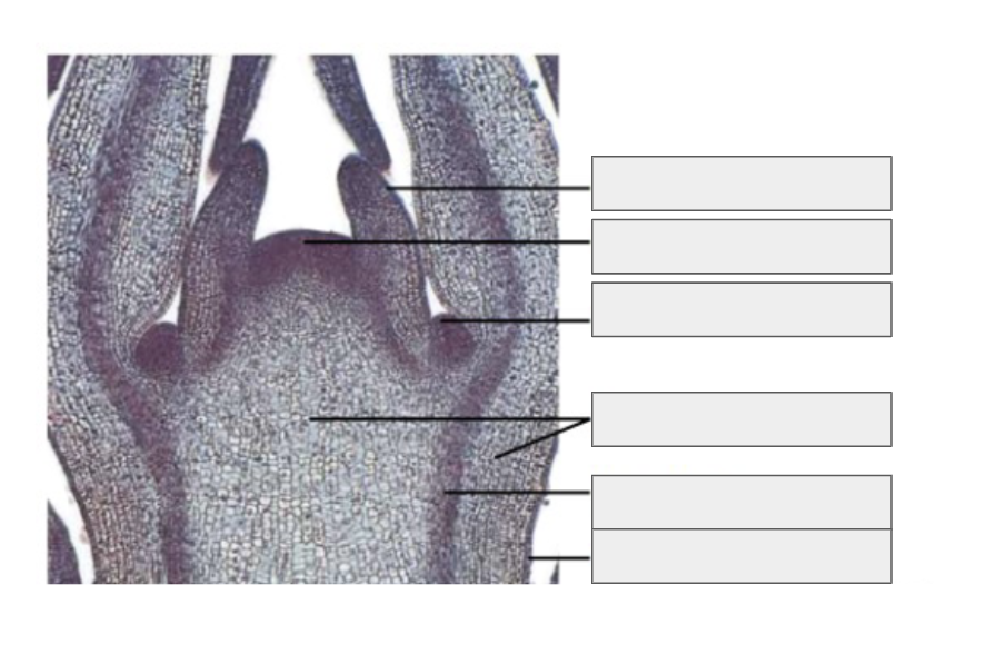 <p>What is this an image of and label the parts</p>