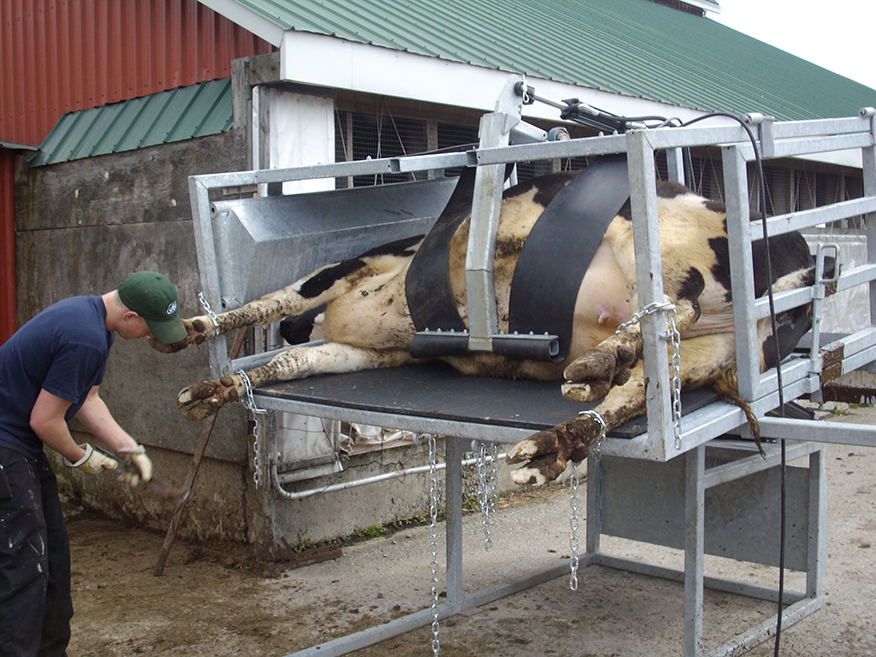 <p>Tilt tables: </p>