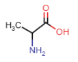 <p>- alkyl R-group: carbon atom</p><p></p>