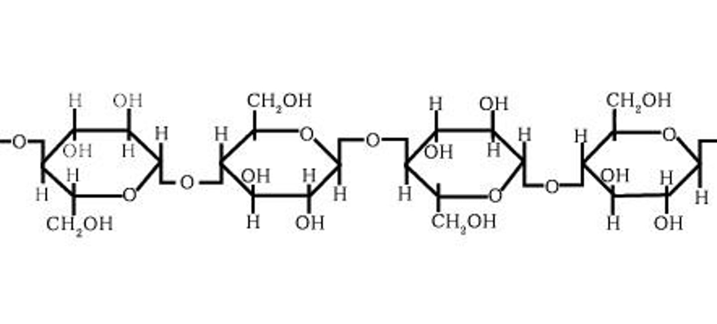 <p>Carbohydrates that contain 3 or more monomers.</p>