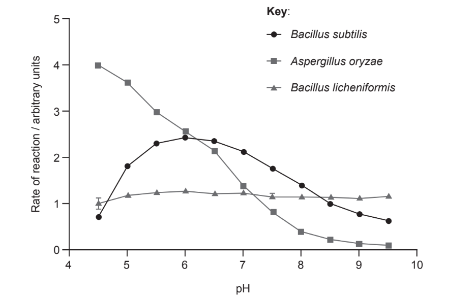 <p>the activity of amylase from two bacterial species and a fungus was measured at different pH levels and constant temperature the results are shown in the graph. which statement about the effect of pH on amylase can be concluded?</p><p>a. A.<em> oryzae </em>amylase has the highest optimum pH</p><p>b. a change in pH affects amylase most in B. <em>licheniformis</em></p><p>c. the optimum pH is 6 in B. <em>subtilis</em></p><p>d. amylase activity at pH 8 is the lowest in B.<em> licheniformis</em></p>