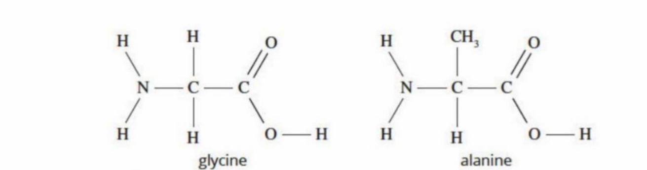 <p>Both have amine group and carboxyl group</p>