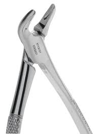 <p>mandible anterior, premolars, and roots&nbsp;</p>