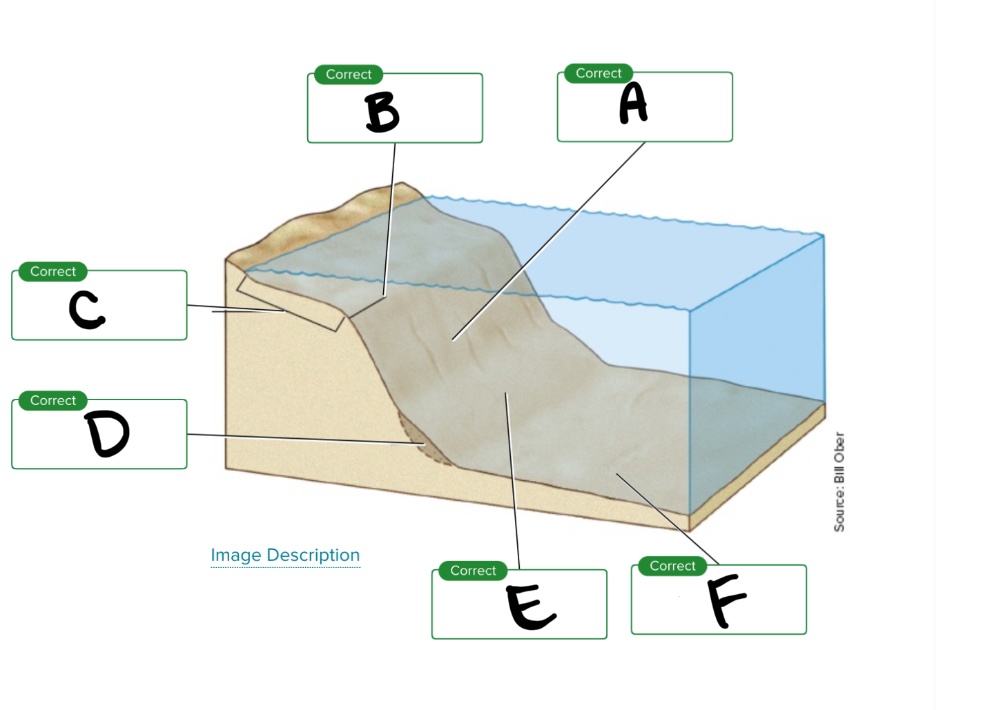 <p>Looking at the continental margin, what is E?</p>
