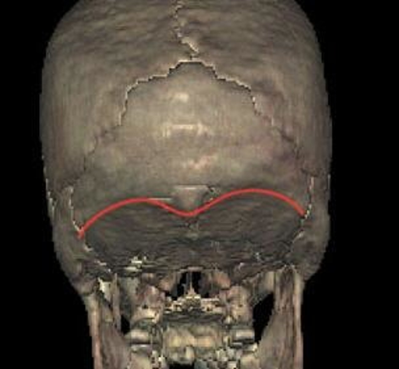 knowt flashcard image