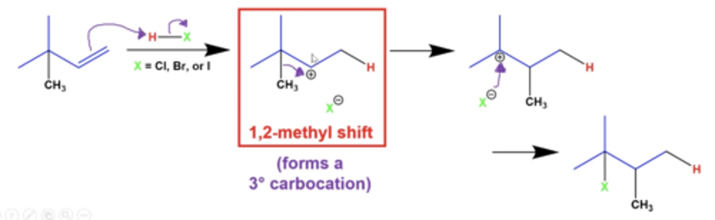 <p>if you have a terminal alkene, a NEIGHBORING methyl group can shift with the carbocation to form a more stable carbocation intermediate</p>