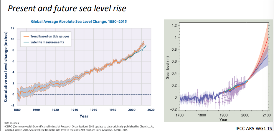 <p>Describe recent trends in global mean sea level rise and projected extent of rise by 2100, and list some specific regions which will be affected</p><p>Describe the negative impacts of flooding on human health and cite some recent examples</p><p>Outline some of the climate adaptations that India has adopted</p>