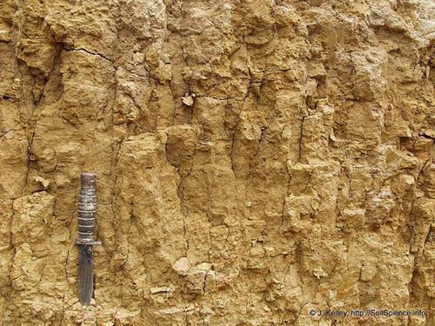 <p>Soil structure resulting from clay particle buildup.</p>
