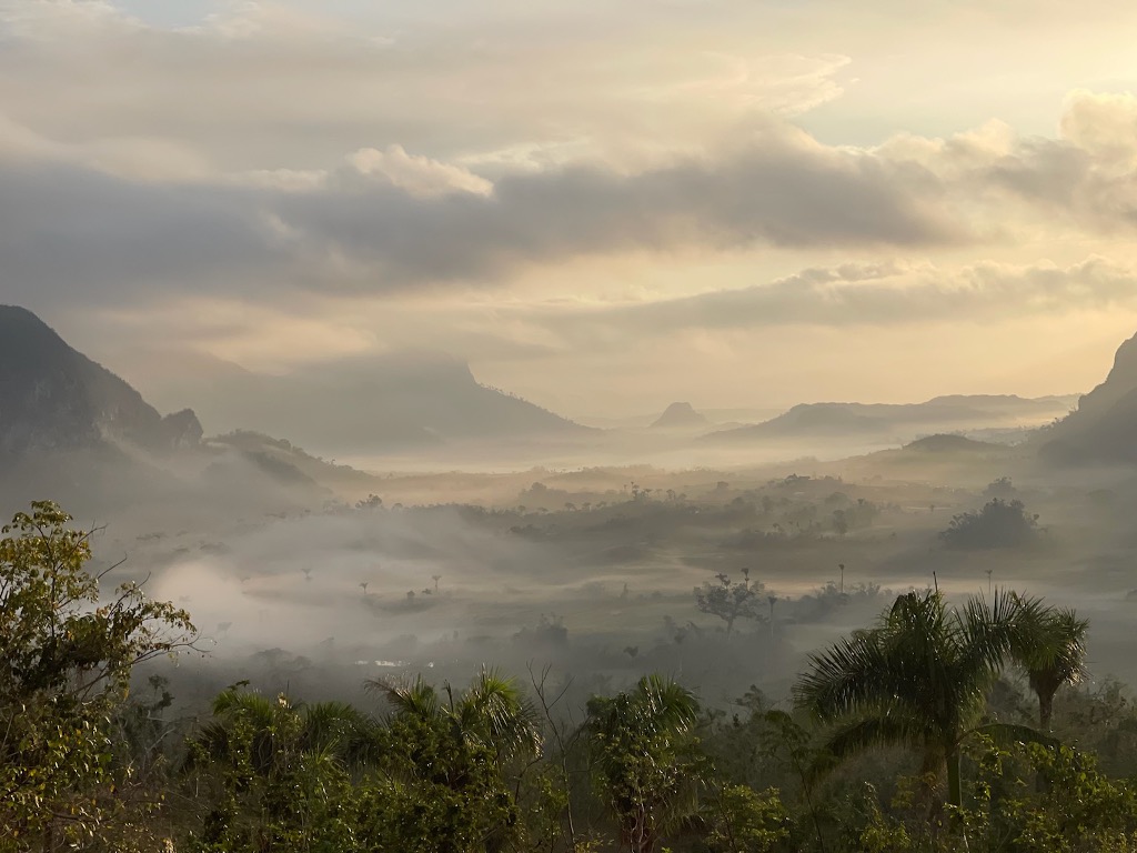 <p><span>Vertical fog, aka valley fog – cold air sinks into the valley</span></p>