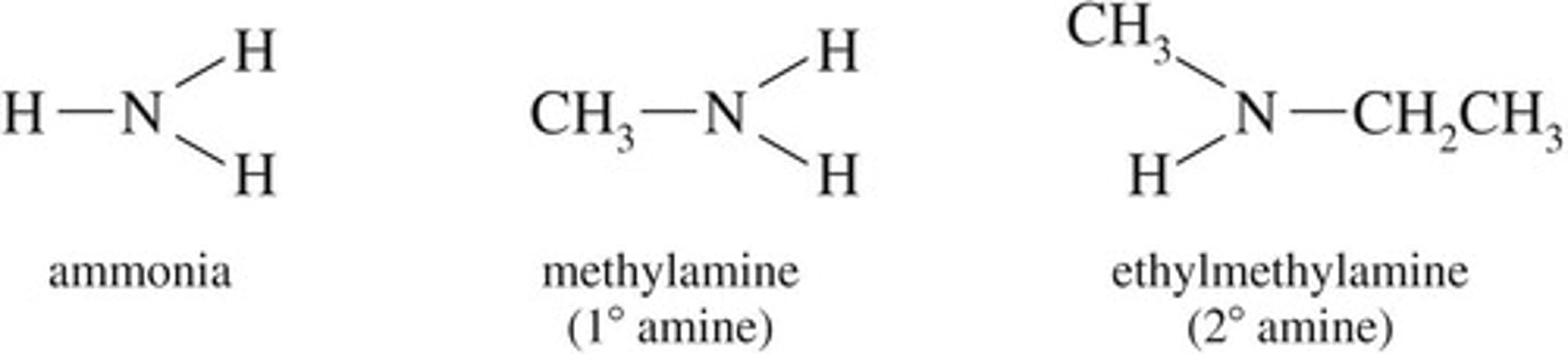 <p>One hydrocarbon group attached to nitrogen.</p>