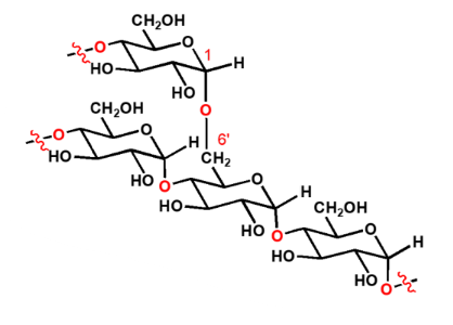 <ul><li><p>onderdeel van zetmeel</p></li><li><p>amylose met vertakking om de ± 25 glucose eenheden op 1’, 6’</p></li></ul><p></p>