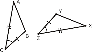 How are the triangles congruent?
