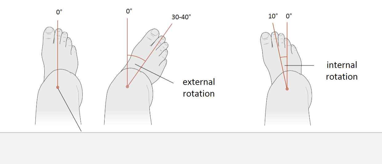 <ul><li><p>Joint Type: Hinge-pivot joint</p></li><li><p>Movements:</p><ul><li><p>Flexion: 120-150°</p></li><li><p>Extension: 5-10°</p></li></ul><p></p><p>Around transverse axis through rotation point (A)</p><ul><li><p>External rotation: 30-40° (only with the knee flexed 90°)</p></li><li><p>Internal rotation: 10° (only with the knee flexed 90°)</p></li></ul></li><li><p>Axis of Rotation: Through the medial tibial condyle</p></li><li><p>Note: Internal rotation is considerably less than external rotation due to cruciate ligaments twisting around each other during internal rotation</p></li></ul>