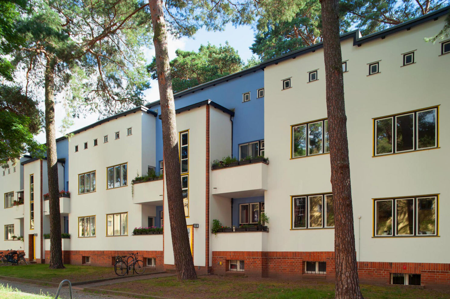 term image
