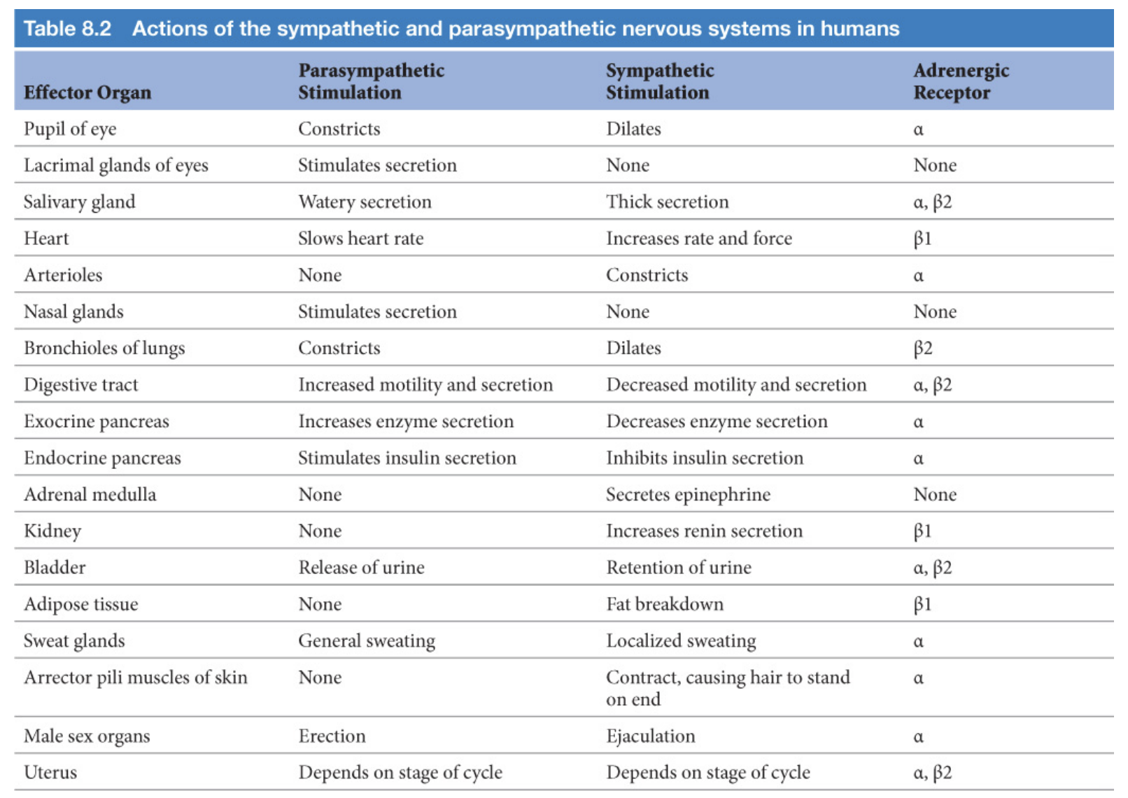 <p><span style="color: blue;"><strong><span>EAAKL</span></strong><span> - Emergency Actions Are Key — Lacrimate later.</span></span></p><p><u>SNS controlled</u></p><ul><li><p><strong>Erector pilli <mark data-color="red" style="background-color: red; color: inherit;">muscles</mark> of skin</strong></p><ul><li><p><span style="color: red;"><span>PNS: nothing</span></span></p><ul><li><p><strong><mark data-color="yellow" style="background-color: yellow; color: inherit;">Muscle - will just relax under parasympathetic conditions</mark></strong></p></li></ul></li><li><p>SNS: contract, causing hair to stand up, <u>goosebumps</u></p></li></ul></li><li><p><strong>Arterioles</strong></p><ul><li><p><span style="color: red;"><span>PNS: nothing</span></span></p></li><li><p>SNS: vasoconstriction</p></li></ul></li><li><p><strong>Adrenal medulla</strong></p><ul><li><p><span style="color: red;"><span>PNS: nothing</span></span></p></li><li><p>SNS: secretes epinephrine</p></li></ul></li><li><p><strong>Kidney</strong></p><ul><li><p><span style="color: red;"><span>PNS: nothing</span></span></p></li><li><p>SNS: increases renin secretion, which increases BP</p></li></ul></li></ul><p><u>PNS controlled</u></p><ul><li><p><strong>Lacrimal glands of eyes (relax)</strong></p><ul><li><p>PNS: stimulates tear secretion</p></li><li><p><span style="color: blue;"><span>SNS: nothing</span></span></p></li></ul></li></ul><p></p>