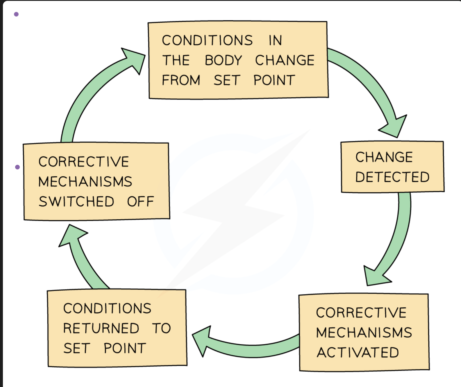 <ul><li><p>Negative feedback occurs when conditions change from the ideal or <strong>set point</strong> and returns conditions to this set point</p></li><li><p>It works in the following way:</p><ul><li><p>if the level of something <strong>rises</strong>, control systems are switched on to <strong>reduce it</strong> again</p></li><li><p>if the level of something <strong>falls</strong>, control systems are switched on to <strong>raise it </strong>again</p></li></ul></li><li><p>Negative feedback mechanisms are usually a continuous cycle of bringing levels down and then bringing them back up so that overall, they stay within a <strong>narrow range</strong> of what is considered ‘<strong>normal</strong>’</p></li></ul><p></p>